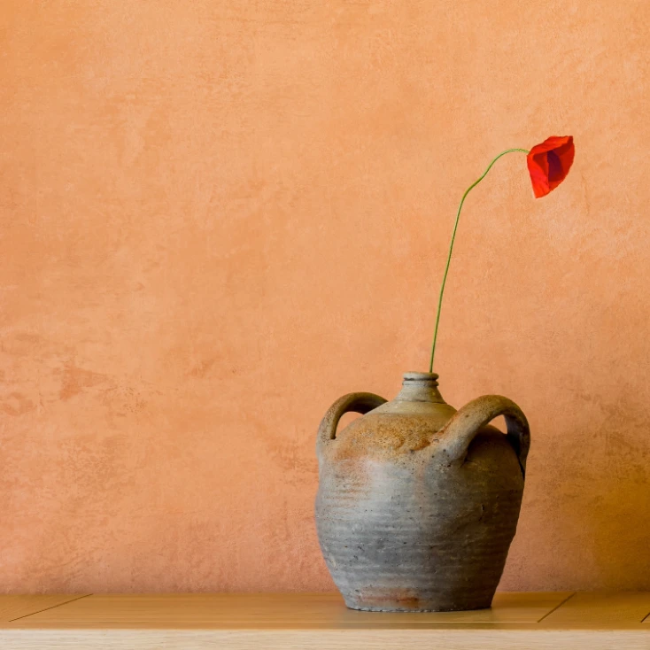Pared pintura cal